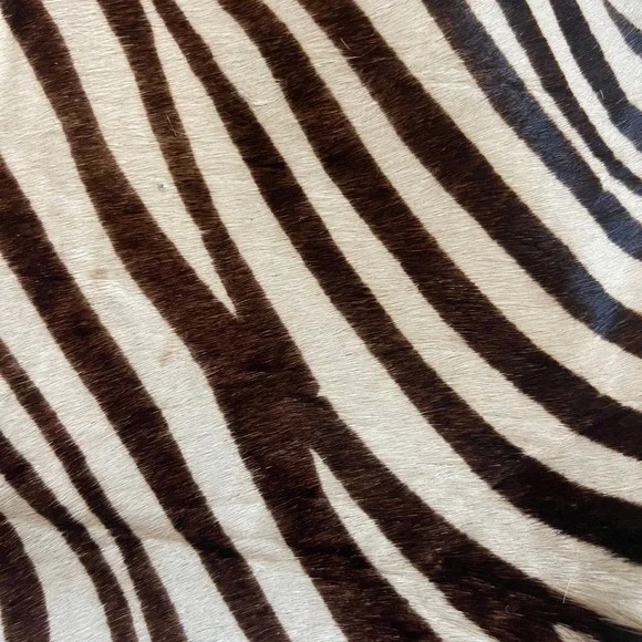 Cache Black and White Zebra Print Tote - Picture 7 of 7